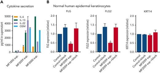 Malignant T cells produce cytokines that induce alteration of FLG and FLG2 in the epidermis. (A) Supernatants obtained from MF1850, MF2059 or MF2000 cells, which had been cultured for 24 hours were analyzed for the cytokines IL-6, IL-13, IL-22, and OSM by enzyme-linked immunosorbent assay. Concentrations were given as picogram cytokine per milliliter supernatant. (B) NHEK were cultured for 2 hours in the presence or absence of receptor-blocking antibodies; IL-13Rα1 and dupilumab (IL-13), glycoprotein 130 (IL-6 and OSM), and IL22Rα1 (IL-22) to block cytokine signaling. NHEKs were then cultured for 24 hours with supernatants obtained from MF2059. The mRNA expression levels were analyzed by qPCR using β-actin as a reference gene. Gene expression was given as relative expressions. n = 3 for MF2059, MF1850, n = 1 for MF2000; ∗P < .05.