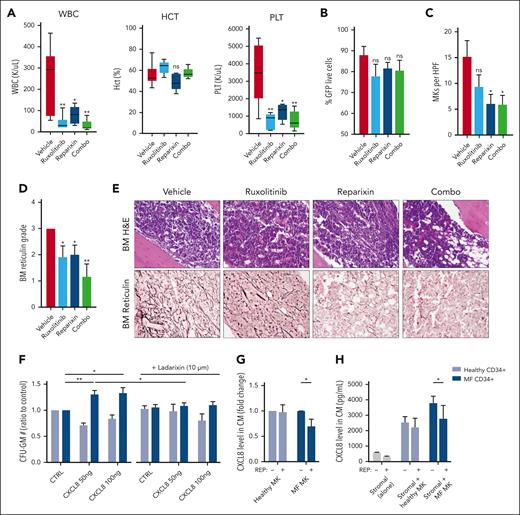 Pharmacologic inhibition of CXCR1/2 improves hematologic parameters and reticulin fibrosis in the hMPLW515L-adoptive transfer model of MF. (A) WBC counts (×103/μL), hematocrit levels (%), and PLT (×103/μL) of hMPLW515L-affected mice treated with vehicle, ruxolitinib (60 mg/kg twice daily), the CXCR1/2 inhibitor reparixin (60 mg/kg twice daily), or combination therapy at timed euthanization after 21 days of treatment. N = 6 mice per arm. ∗P < .05; ∗∗P < .01. The t test (unpaired, two-tailed) was used to compare the mean of 2 groups. Data shown represent mean ± SEM. (B) Peripheral blood mutant cell fraction by GFP percentage of treated mice. Data shown represent mean ± SEM. (C) MKs number per high powered field (HPF) observed in BM of hMPLW515L mice in response to treatment. ∗P < .05. Data shown represent mean ± SEM. (D) BM reticulin scores of hMPLW515L-diseased mice treated with either vehicle, ruxolitinib, reparixin, or combination therapy. N = 6 mice per arm. ∗P < .05; ∗∗P < .01. (E) Representative H&E and reticulin images of hMPLW515L-diseased BM treated with ruxolitinib, reparixin, or combination therapy compared with vehicle-treated mice. N = 6 mice per condition. (F) Colony-forming unit (CFU) assay demonstrating total granulocyte-macrophage progenitor (CFU-GM) colony number as a ratio to control of untreated healthy human donor (light blue) vs MF (dark blue) CD34+ cells with exogenous CXCL8 and its response to the second-generation CXCR1/2 antagonist ladarixin (10 μM) in vitro. ∗P < .05; ∗∗P < .01. Representative of duplicate experiments from 5 healthy donor (HD) and 13 individual MF cases. (G) Fold change in detectable CXCL8 levels in conditioned media (CM) elicited by either HD vs MF MKs with or without the addition of reparixin (10 μM). Representative of duplicate experiments from 3 HD and 6 individual MF cases. ∗P < .05. Data shown represent mean ± SD. (H) Total levels of CXCL8 in conditioned media of cultured stromal cells, either alone or together with healthy vs MF MKs with or without the addition of reparixin (10 μM). ∗P < .05. Data shown represent mean ± SD. Representative of duplicate experiments from 3 HD and 3 individual MF cases. Original magnification ×20 (E).