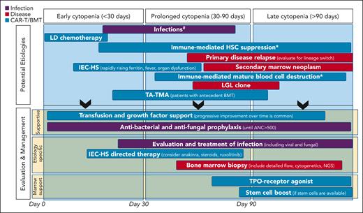 Considerations for etiologies and management of cytopenias after CAR T-cell infusion. ∗Remains speculative. #Antiviral prophylaxis is initiated early after CAR-T infusion and continued for 6 to 12 months. #Anti-PJP prophylaxis is started at day ∼28 until CD4+ cell count >200/mm3. #If the ANC has not recovered to >500/mm3 by day 7 to 10, consider institution of G-CSF. ANC, absolute neutrophil count; IEC-HS, hemophagocytic lymphohistiocytosis-like hyperinflammatory syndrome associated with immune effector cells; LD, lymphodepletion; LGL, large granular lymphocytosis; NGS, next generation sequencing; TA-TMA, transplant-associated thrombotic microangiopathy; TPO, thrombopoietin.