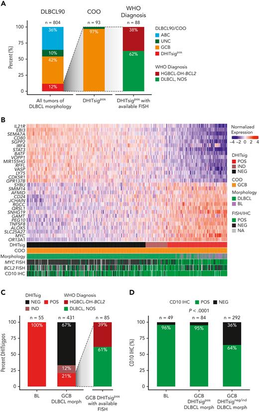 DHITsig expression extends beyond HGBCL-DH-BCL2 to identify DZ lymphomas. (A) Characterization of DHITsigpos tumors with DLBCL morphology. Left bar: GEP-based classification of all tumors with DLBCL morphology in the study population using the DLBCL90 assay (Nanostring), based on the algorithm in supplemental Figure 1. Central bar: COO classification of DHITsigpos tumors. Right bar: HGBCL-DH-BCL2 status of DHITsigpos tumors as determined by FISH. Tumors negative for HGBCL-DH-BCL2 are classified as DLBCL, NOS according to WHO HAEM5. (B) Heat map showing normalized expression of DHITsig genes in 55 BL tumors from an independent cohort and 431 germinal-center B-cell-like tumors with DLBCL morphology (GCB-DLBCL) from the study population. (C) Proportion of DHITsigpos tumors in BL (left bar) vs GCB-DLBCL (central bar). All profiled BL tumors were DHITsigpos. Right bar: proportion of DHITsigpos GCB-DLBCL tumors that are HGBCL-DH-BCL2 vs DLBCL, NOS. (D) Proportion of tumors positive for the germinal center marker CD10 by IHC in BL and GCB-DLBCL in the presence (GCB-DLBCL DHITsigpos) or absence of DHITsig (GCB-DLBCL DHITsigneg/ind), compared with χ2 test. IND, indeterminate; morph, morphology; NA, not available; NEG, negative; POS, positive; WHO HAEM5, 5th edition of the World Health Organization Classification of Haematolymphoid Tumors.