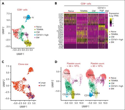 Combined single-cell RNA and TCR sequencing defines expanded clones as TEMRA cells. (A) Sorted CD8+ T cells are clustered using their gene expression profile into naïve, TEMRA, central memory (CM), effector memory (EM), and CD161+ high cells. (B) Heatmap of genes in sorted CD8+ T cells differentially expressed in accordance with clusters, including naïve, TEMRA, CM, EM, and CD161+ high cells. (C) Large clones (top 10 clones) are predominantly within the TEMRA subset, shown in red. (D) Patients with a platelet count <30 × 109/L have more TEMRA T cells compared with patients with a platelet count ≥30 × 109/L.
