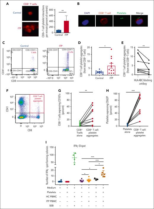 CD8+ T cells interact with platelets causing T-cell activation, IFN-γ release, and CD107a and platelet activation. CD8+ T-cell–platelet aggregates are inhibited with MHC class I blocking on platelets. (A) When CD8+ T cells flow along a chamber coated with platelets, CD8+ T cells from patients with ITP were 4 times more likely to slow down and stop along the platelet coated surface than controls. (B) Confocal imaging of CD8+ T-cell interactions with platelets in a patient with ITP (×20 lens objective). (C) Example of a dot plot from flow cytometry analysis of a control vs patient with ITP when CD8+ T cells are cocultured with platelets, showing CD8+ T-cell–platelet aggregates (CD8+CD41+) from total CD8+ T cells. (D) CD8+ T-cell–platelet aggregates are higher in patients with ITP than in healthy controls and (E) are inhibited when MHC class I HLA-A, -B, and -C receptors on platelets are blocked. (F) In CD8+ T-cell–platelet coculture, (G) CD107a is increased in the CD8+ T-cell–platelet aggregates compared with CD8+ T cells cultured alone, consistent with release of granzyme B; (H) platelets in the CD8+ T-cell–platelet aggregates show increased CD62P, consistent with platelet activation. (I) IFN-γ ELISpot assay of T cells cultured with autologous platelets shows that T cells from patients with ITP have increased secretion of IFN-γ when cultured with platelets (detected by IFN-γ–forming spots). ∗P ≤ .05; ∗∗P ≤ .01; ∗∗∗P ≤ .001. HC, healthy control; SEB, staphylococcal enterotoxin.