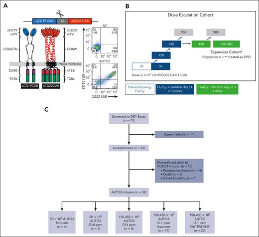 AUTO3 study design and recruitment. (A) AUTO3 CAR, CD19 CAR, and CD22 CAR are type I transmembrane proteins. Human HD37 recognizes CD19, is located at the extreme amino terminus and, in turn, connected to the CD8α stalk, transmembrane, and anchor. The intracellular endodomains are composed of costimulatory OX40 and CD3 ζ (TCRζ). Humanized LT22 recognizes CD22, is located at the extreme amino terminus and is connected to the pentameric α-helical coiled coil multimer forming domain of cartilage oligomeric matrix protein (COMP) and transmembrane anchor. The intracellular endodomains are composed from 41BB ζ and CD3 ζ (TCRζ).14 (B) AUTO3 trial schema. (C) AUTO3 consort diagram. Cy, cyclophosphamide; Flu, fludarabine; NT, nontransduced; scFV, single chain variable fragment; TCRz, T-cell receptor zeta.
