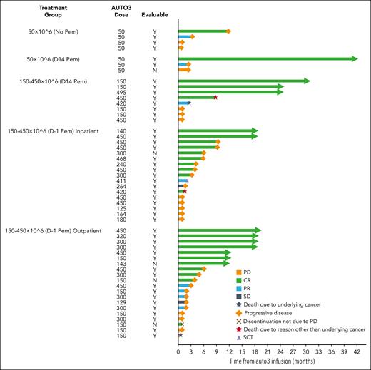 AUTO3 disease response. Swimmer plot, for total infused cohort. SCT, stem cell transplant; N, no; Y, yes.