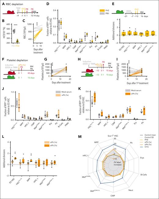 Limited contribution of HSCs to recovery from blood loss. (A-E) Fgd5ZsGreen:CreERT2/R26LSL-tdRFP (in panels A-D, n = 6-7 per condition) and R26rtTA/Col1A1H2B-GFP (in panel E, n = 6-7 per condition) mice were IP injected with phenylhydrazine (PHZ) or PBS. Hematocrit (HCT) 24 hours after PHZ application (B) and PB RBC numbers (C) are shown. (D) Fraction of RFP-labeled cells (relative to ES HSCs). (E) Average number of additional divisions in response to PHZ. (F-L) Fgd5ZsGreen:CreERT2/R26LSL-tdRFP (in panels F-K, n = 4-8 per condition) and R26rtTA/Col1A1H2B-GFP (in panel L, n = 4-8 per condition) mice were treated with antiplatelet (αPlt) serum or control serum following a single (once in panels F-G, J, and L) or repetitive (7 times in panels H-I and K-L) application protocol. (G-I) Platelet numbers in PB. (J-K) Fraction of RFP-labeled cells (relative to ES HSCs). (L) Average number of additional divisions in response to platelet depletion. (M) Net effects of RBC or platelet depletion on RFP label propagation (% label increase relative to ES HSCs; transformation and display of data as in Figure 1P).