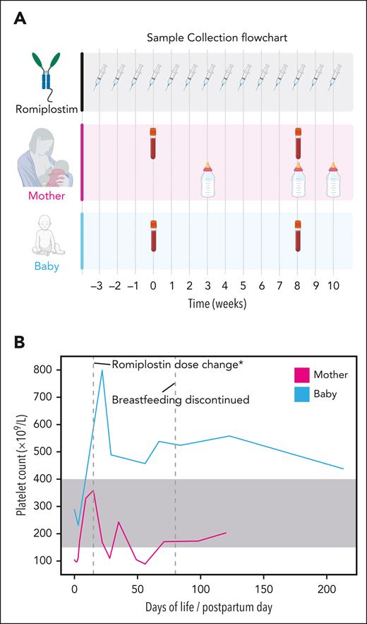 Sample collection flowchart and platelet count measurements. (A) Sample collection flowchart. (B) Platelet count measurements in the participant and her newborn infant based on the number of postpartum days.