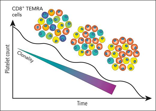 In patients with chronic refractory ITP, a fall in platelet count was associated with an increase in T-cell receptor clonality. Representative clones in the CD8+ TEMRA subset with each unique color correspond to unique TCR clones. Correspondingly, the diversity of the repertoire falls as individual clones expand. Figure provided by Michelle M. H. Tan.