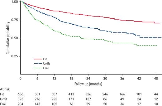 Overall survival by simplified geriatric assessment in all patients with treatment details (N = 1163). Adapted from Merli et al23 with permission.