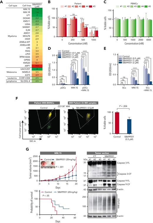 Anti-MM activity of SB. (A) MM, melanoma, leukemia, and lymphoma cell lines were treated with dimethyl sulfoxide (DMSO) control or SB at different concentrations for 48 hours, followed by assessment for cell viability using a WST assay (P < .05 for all cell lines, n = 3). IC50 was calculated and presented in the table. (B) Purified CD138+ cells from a patient with MM were treated with DMSO or SB for 48 hours, followed by assessment for cell viability using a CTG assay (mean ± SD of triplicate cultures). (C) Normal PBMCs from healthy donors were treated with DMSO or the indicated concentrations of SB for 48 hours, and then analyzed for cell viability using a CTG assay (mean ± SD, n = 3, P value is ns). (D-E) MM.1S cells were cultured with or without pDCs or BMSCs in the presence or absence of indicated concentrations of SB for 48 hours, and then cell viability was measured by a WST assay (mean ± SD, n = 3). (F) Total BM-derived mononuclear cells from patients with MM (n = 3) were treated with Rpn10 inhibitor SB (nontoxic concentration of 0.5 μM) or DMSO control for 2 days, and multicolor flow analysis was used to assess MM cell lysis. CD138+ MM cells were quantified by staining with CD138-FITC Ab. Representative fluorescence-active cell sorter scatter plot showing a decrease in the number of viable fluorescein isothiocyanate–positive MM cells after treatment with SB (left) and bar graph shows quantification of CD138+ MM cells in the left panel (right) are shown. The fold change was obtained after normalization with control data and presented as percentage of viable cells in the presence vs absence of SB (mean ± SD, P < .05). (G) Mice bearing human MM.1S MM tumors were treated with either vehicle control or SB (20 mg/kg, intraperitoneally) 3 times weekly for 14 days. Average and SD of tumor volume (mm3) is shown vs time when tumor was measured (mean tumor volume ±SD, 10 mice per group) (left top) and Kaplan-Meier plots show survival in mice (left bottom) are shown. SB-treated mice showed increased survival vs control vehicle-treated mice. Tumor lysates from control vehicle- and SB-treated mice were subjected to immunoblot analysis using anti–caspase-3, caspase-9, K48 polyubiquitin, and β-actin (right). (H) Representative hematoxylin and eosin (HE) and immunohistochemistry stains of caspase-3, K48 polyubiquitin and Rpn10 in tumor tissue from control- and SB-treated mice. Scale bars, 100 μM.