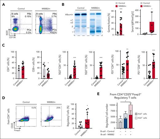 A transgenic murine lymphoplasmacytic/WM model points toward a role for Treg in supporting WM biology. (A) Representative flow cytometry analyses showing the percentages of B220+CD138− B cells, B220+CD138+ plasmablasts, and B220−CD138+ plasma cells in the BM of M88B2m transgenic mice developing lymphoplasmacytic lymphoma/WM in comparison with mb1-cre control mice. (B) Representative serum protein electrophoresis images of M88B2m and control mice. One representative image is shown. Quantification of gamma fractions is represented. (right) Enzyme-linked immunosorbent assay in serum of M88B2m mice compared with control mice (n = 6 per cohort) measuring the levels of secreted IgM.(C) Flow cytometry analyses of CD4+ and CD8+ T-cell subsets, including CD62L+CD44– naïve subpopulations. Quantification of the percentage of CD4+ and CD8+ T cells with expression of PD-1 or TIGIT (n = 6-10 mice per cohort) is also shown. (D) Representative flow cytometry analyses measuring the percentage of CD4+CD25+Foxp3+ Tregs in M88B2m mice (n = 10) compared with control mice (n = 6). (E) Ex vivo coculturing assays including Tregs isolated from healthy mice with lymphoma B cells from M88B2m mice or control B lymphocytes. Quantification of Ki67+ vs Ki67− Treg numbers are shown for each coculture (n = 2 independent experiments, each in duplicate). ∗P < .05; ∗∗P < .01; and ∗∗∗P < .001.
