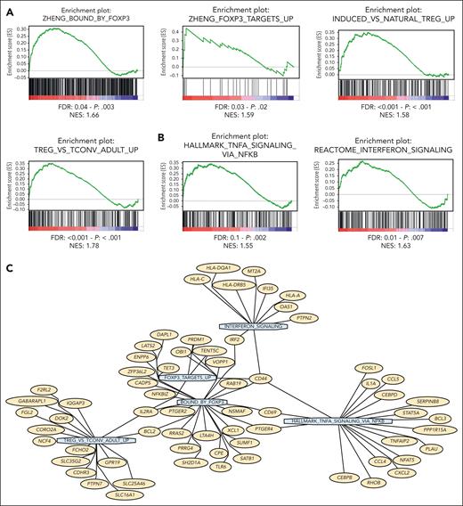 Tregs obtained from patients with WM present with a peculiar transcriptome signature that differs from HD-Tregs. (A,B) Bulk RNA-seq comparing WM-Tregs (n = 14) and HD-Tregs (n = 8). WM-Tregs present with a significant enrichment of FOXP3, and Treg-, TNF-α–, interferon-related genes, as assessed by GSEA. Normalized enrichment score (NES) was generated by comparing WM-Tregs and HD-Tregs. NES, nominal P value, and false discovery rate q values are shown for each plot. (C) Network plot showing the top leading-edge genes of the GSEA signatures associated with Treg activity. Genes are reported in yellow and GSEA signatures in light blue.