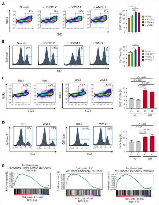 WM cells enhance Treg induction. (A) CD4+CD25− non-Tregs were cultured either alone or in the presence of WM cells (BCWM.1; MWCL.1) or CD19+ B cells derived from healthy donors, for 72 hours, using a transwell. Significant Tregs induction was observed upon exposure to both BCWM.1 and WMCL.1. The percentage indicates the CD25+FOXP3+ cells gated on CD4+ cells. A representative experiment is shown. The experiment was repeated 3 times, using different normal CD19+ B cells (n = 4). ∗∗P < .01 determined using one-way ANOVA. Error bars indicate mean ± SD. (B) The proliferative rate of CD4+CD25+FOXP3+ Tregs was assessed by evaluating the percentage of Ki67+ cells. A significant increase in Ki-67 expression in Tregs was observed in the BCWM.1 and WMCL1 coculture groups compared with in the absence of cells or with CD19+ B-cell groups. A representative experiment is shown. The experiment was repeated 3 times. ∗P < .05; ∗∗P < .01; ∗∗∗P < .001, determined using one-way ANOVA. Error bars indicate mean ± SD. (C) CD4+CD25− non-Tregs were cultured either alone or in the presence of CD19+ cells derived from the BM of patients with WM (WM-1; WM-2), or CD19+ B cells derived from healthy donors, for 72 hours, using a transwell. Significantly higher Treg induction was observed upon exposure to WM tumor cells. The percentage indicates the CD25+FOXP3+ cells gated on CD4+ cells. (D) The proliferative rate of CD4+CD25+FOXP3+ Tregs was assessed by evaluating the percentage of Ki67+ cells. WM and HD, as in panel C. P indicates P value; one-way ANOVA; Error bars indicate mean ± SD. (E) Tregs derived from patients with WM present with a significant enrichment of MAPK, PI3K/AKT-related genes, as assessed by GSEA. NESs were generated by comparing WM-Treg and HD-Tregs. NES, nominal P value, and false discovery rate q values are shown for each plot.