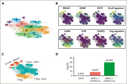 Single-cell transcriptome analysis. (A) t-distributed stochastic neighbor embedding (tSNE) plot of the integrated WMCL1 analysis. The colors highlight the different cell clusters; the numbers reported at the top of each cluster indicate the associated cluster index. (B) tSNE plots highlighting the expression level of B-cell (top) and Tregs (bottom) markers in a yellow (high expression) to blue (low expression) color scale. (C) tSNE plot representing the different cell types at cluster resolution. (D) Percentage of Tregs after exposure to normal CD19 cells, to WMCL1, or to WMCL1-CXCR4C1013G cells.
