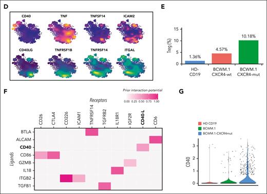 B-cell–to–T-cell cross talk model at single-cell level. (A) Schematic representation of the expected B-cell–to–T-cell crosstalk model. In the top panel the normal B/T condition is shown; the bottom panel depicts the model of the proposed B-cell–to–T-cell interaction, with clonal B cells releasing factor(s) responsible for the induction of CD4+ T-cell differentiation to Tregs. (B) Heatmap representing the top candidate protein-protein interactions occurring between B (ligands, y-axis) and T (receptors, x-axis) cells in WMCL1 and WMCL1-CXCR4C1013G cells. CD40/CD40LG interactors are shown in bold. (C) Violin plots showing the normalized expression level of all the candidate receptors expressed by B cells (B) in CD19, WMCL1, and WMCL1-CXCR4C1013G cells. (D) tSNE plots highlighting the expression level of top B-cell (top) and T-cell (bottom) interactors. B-cell markers are represented in an orange (high expression) to blue (low expression) color scale; Treg markers are represented in a yellow (high expression) to blue (low expression) color scale. (E) Percentage of Tregs after exposure to normal CD19, BCMW.1, or BCWM.1-CXCR4C1013G cells. (F) Heatmap representing the top candidate protein-protein interactions occurring between B (ligands, y-axis) and T (receptors, x-axis) cells in BCMW.1 and BCWM.1-CXCR4C1013G cells. CD40/CD40LG interactors are shown in bold. (G) Violin plots showing the normalized expression level of CD40 in normal CD19, BCWM.1, or BCWM.1-CXCR4C1013G cells.