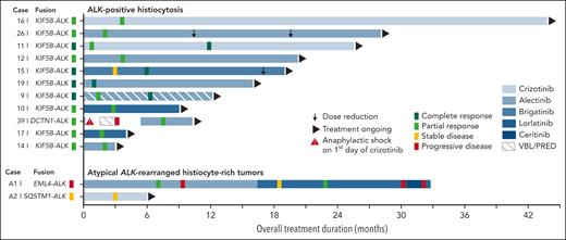 Swimmer plot of outcomes in patients with ALK-positive histiocytosis (n = 11) or atypical ALK-rearranged histiocyte-rich tumors (n = 2) treated with ALK inhibition. ALK inhibition was initiated at timepoint zero. Median time on ALK inhibition was 16 months in ALK-positive histiocytosis patients (range 3-43 months). Responses were measured by CT, MRI, and/or PET-CT in all patients. Dose reductions were 67% (90 mg brigatinib/d → 30 mg/d) and 50% (1200 mg alectinib/d → 900 mg/d → 600 mg/d) in Case 15 and Case 26, respectively. Case 39 developed a severe (grade 3) anaphylactic shock on the first day of crizotinib administration, requiring the patient to be resuscitated. The patient subsequently received vinblastine/prednisone-based chemotherapy with progressive disease and then switched to alectinib with objective response after 2 months. Case A1 developed a subcutaneous gluteal metastasis during treatment with alectinib (supplemental Figure 3C), which was found to harbor an ALK p.I1171N mutation, a mutation known to confer secondary resistance to alectinib.78,79 Therefore, the patient switched to lorlatinib and later to ceritinib after repeated progressive disease. Due to continuing progressive disease during treatment with ceritinib, the patient recently stopped ceritinib, received 3 weeks of bridging therapy with lorlatinib during antalgic radiotherapy of 2 metastases, and subsequently started vinblastine/prednisone-based chemotherapy. VBL/PRED, vinblastine and prednisone-based chemotherapy.