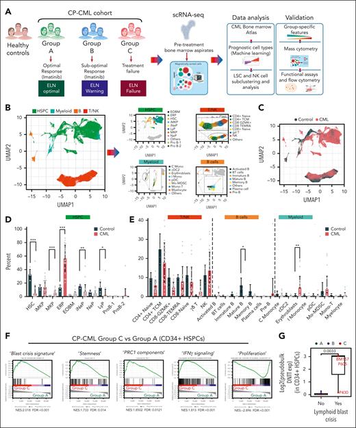 Generation and validation of a CML BM atlas at the single-cell resolution. (A) Diagnostic BM aspirates from normal controls and a cohort of patients with CP CML with differential imatinib responses were subjected to multimodal single-cell analysis using scRNA-seq. The patients with CP CML were classified, broadly based in line with European LeukemiaNet recommendations (supplemental Methods), as optimal responders to imatinib (group A), suboptimal responders to imatinib (group B), or as treatment failures if they progressed to BC (group C) (refer to supplemental Table 1 for patient details). The resulting single-cell atlas was subjected to data analysis pipelines to uncover features with predictive potential at the time of diagnosis. Mass cytometry, flow cytometry, and functional analyses were performed to validate the key predictive features. (B, left) The CD34+ and CD34− fractions were subjected to scRNA-seq analysis and analyzed as described in the supplemental Methods. The 4 major cell types from the scRNA-seq data set, namely B cells, myeloid cells, T and NK cells, and HSPCs were first identified. (B, right) The 4 major cell types were subclustered and cluster markers/GE signatures were used to identify 10 HSPC and 22 differentiated populations (8 myeloid; 7 B cell, and 7 T/NK metaclusters or cell types). (C) UMAP of single-cell transcriptomes, colored by control or CML cells. (D) HSPC subpopulations are plotted as a proportion of CD34+ cells. Each dot represents 1 patient. (E) T, NK, B, and myeloid cell types are plotted as a proportion of CD34− cells. (F) The 10 HSPC metaclusters were aggregated into a single pseudobulked population (CD34+ HSPC). GSEA comparisons were performed between groups A and C using gene sets curated in supplemental Table 12. Enrichment plots for differentially enriched gene sets are shown (false discovery rate q-value ≤0.1). (G) DNTT (TDT) expression in pseudobulked CD34+ cells of group C samples that transformed into lymphoid BC was contrasted against all remaining CML samples. A 2-tailed t test was used to test the statistical significance of data in Figure 1C-D,G. Supplemental Figures 1-3 and supplemental Tables 1-13 are linked with data shown in Figure 1. C Mono, classical monocytes; cDC2, classical dendritic cells; CD4+ TCM, CD4+ T central memory; CD8+ TEMRA, CD8+ T effector memory with CD45RA; EOBM, eosinophil-basophil mast cell progenitor; iMKP, immature megakaryocyte progenitor; I Mono, inflammatory monocytes; Lyp, lymphoid progenitor; Mono-T, monocyte-T; MKP, megakaryocyte progenitor; γδ T cells, T cells.