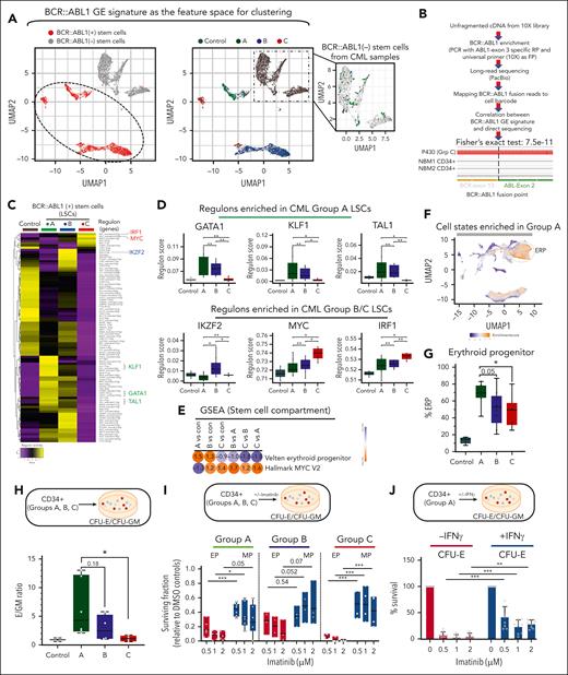 Identification and functional validation of LSC transcriptional programs. (A) HSCs were subclustered in a BCR::ABL1 GE feature space, as described in supplemental Figure 6A and in the supplemental Methods. (A, left) UMAP feature plots of HSCs colored by the presence or absence of the BCR::ABL1 GE signature. The dotted line demarcates the area that was identified as positive for the BCR::ABL1 GE signature. These cells are referred to as the BCR::ABL1+ stem cells or LSCs. (A, right) UMAP feature plots of HSCs colored by group label. The zoomed-in inset shows stem cells from CML samples clustering with normal stem cells from controls. These cells are referred to as BCR::ABL1− stem cells. (B) BCR::ABL1 fusion reads were amplified from 10× barcoded full-length complementary DNA using the universal primer from the 10× Genomics 5′ GE kit as the forward primer (FP) and a primer spanning exon 3 of ABL1 gene as the reverse primer (RP) from 4 CML and 2 NBM CD34+ HSPC fractions, and products were subjected to long-read sequencing (supplemental Methods). GE signature-based assignment of BCR::ABL1 status was correlated with the direct detection of BCR::ABL1 junction-spanning reads. Fisher exact test, 7.5e−11. (C) HSCs from controls and LSCs from patients with CML were analyzed using SCENIC. Scores for regulons that showed significant differential activity (P value < .05) between any pair of comparisons are shown. Up to 2 regulons are identified for each transcription factor (TF). (D) Patient-specific pseudobulk regulon scores for selected TFs are plotted. Each dot represents 1 patient (E) GSEA comparisons between LSCs from groups A and C for the selected gene sets. (For a complete analysis, refer to supplemental Tables 19 and 20; supplemental Figure 7.) (F) scRNA-seq UMAP, colored by fold enrichment of group A cells among 300 neighboring cells in transcriptome space. Enriched areas demarcated by the dotted line correspond to ERPs in the CML single-cell atlas. (G) scRNA-seq; ERP abundance is plotted as a proportion of total HSPCs in each patient. Each dot represents 1 patient. (H) CFU-E/CFU-GM ratio: CD34+ HSPCs were purified from all 3 patient groups and subjected to colony-forming assay (CFA). Colonies were scored after 14 days as erythroid (CFU-E) or myeloid (CFU-GM). E/GM ratio is plotted for each patient (n = 6 group A; n = 4 group B; and n = 4 group C). (I) CD34+ cells were purified from all groups, and subjected to CFAs in the presence or absence of imatinib. The surviving fraction with respect to dimethyl sulfoxide controls is plotted. (J) Purified CD34+ cells were plated in methylcellulose-based media in the presence/absence of imatinib/IFN-γ. Colony numbers for CFU-E were plotted relative to vehicle (dimethyl sulfoxide) control. The data for total colony numbers and for CFU-GM are shown in supplemental Figure 7E. Statistical tests: Figure 3D,F-I; 2-tailed t test. Supplemental Figures 6 and 7 and supplemental Tables 17-20 are linked with data shown in Figure 3. CFU-E, colony forming unit-erythroid; CFU-GM, colony forming unit-granulocyte-macrophage.