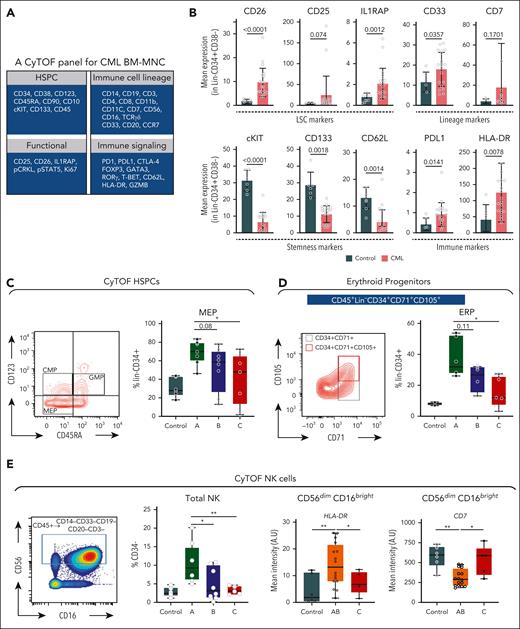 Toward development of antibody-based panels for predicting TKI responses. (A) A custom 38-antibody panel was designed for mass cytometry to detect the cell abundance gradients and GE profiles uncovered by our single-cell map. (B) The mean expression of indicated markers was assessed within the Lin−CD34+CD38− population of control and CML samples. (C) CD34+ HSPCs from the CyTOF data set was subjected to standard gating schemes to identify 6 HSPC populations: HSC, MPP, LMPP, CMP, megakaryocyte-erythroid progenitor (MEP), and GMP. MEP proportions were compared across CML groups A through C. (D) A flow cytometry panel was optimized to measure the frequency of ERPs across control and CML Groups A through C. An independent cohort of 6 patients of group A was used for this analysis, as well as the same set of group B and group C samples. (E) CD34− cells from the CyTOF data set were subjected to standard biaxial gating to identify NK cells (far right). The total abundance of NK cells with the CD34− population of samples and the mean expression of HLA-DR and CD7 within the NK cell population are shown. (F) A flow cytometry panel was optimized (supplemental Figure 13A) to measure the frequency of adaptive-like NK cells identified as CD57+NKG2C(KLRC2)+ cells within CD56dim CD16bright NK cell population. (G) A flow cytometry panel was optimized (supplemental Figure 13B) to measure the frequency of the NKG2A(KLRC1)+ NK subset within the CD56dim CD16bright NK cell population. Statistical tests for all data are shown in Figure 6; 2-tailed t test. Supplemental Figures 11-13 and supplemental Tables 25 and 26 are linked with the data in Figure 6.