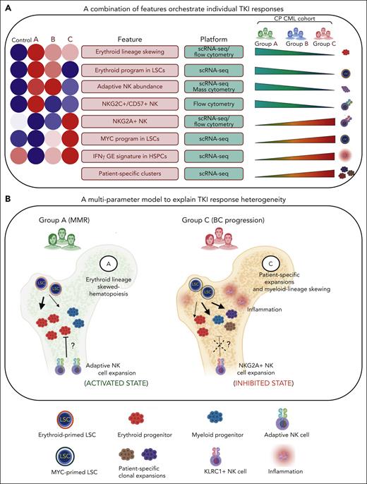 A multiparameter model of primary TKI resistance. (A) Eight pretreatment features associated with differential group-specific TKI responses are summarized here and in supplemental Table 27. For each feature, we provide a heatmap of the average degree of enrichment in each of the control and prognostic groups (supplemental Table 27), a technology platform for assessing each feature (mass or flow cytometry, or scRNA-seq), and whether the feature increases or decreases across groups. (B) Schematic summarizing the biological features contributing to heterogeneous TKI responses, including LSC/HSPC-, NK cell–, and tumor microenvironment–dependent factors.