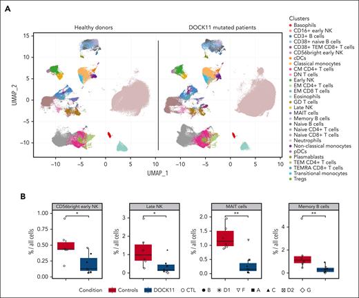 Immune phenotype by mass cytometry. (A) Uniform manifold approximation and projection (UMAP) of immune cell subset clusters analyzed by mass cytometry on whole blood samples from DOCK11 patients (n = 7) and age-matched HDs (n = 6). Each cluster is color coded. (B) Cell cluster biases observed between DOCK11 patients and HDs. DOCK11 patients have a significantly lower percentage of CD56bright natural killer (NK) cells, late NK cells, MAIT cells, and memory B cells. Two-tailed P values were determined with a nonparametric Mann-Whitney test. ∗P < .05; ∗∗P < .01; ∗∗∗P < .005.