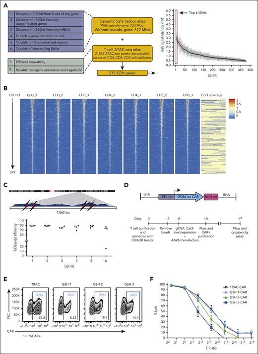 eGSHs that satisfy criteria 1 to 7 are efficiently targeted by CRISPR/Cas9 to express a functional CAR. (A) GSH atlas safety criteria (blue box) and ATAC-seq atlas criteria (green box). The plot represents ranked average maximum signal intensities of ATAC-seq peaks associated with 379 eGSHs (without pseudogenes atlas) across 7 cell replicates. The top 6 highest-intensity GSH peaks are highlighted. Bars show mean ± standard deviation (SD) of n = 7 cell replicates. (B) Volcano plot depicting the 379 eGSHs centered on the GSH peak with a 5-kb region on each side of the peak in 7 cell samples. Peaks are arranged in decreasing order of their maximum (peak summit) signal intensities. Color indicates the value of signal intensities. The eGSH coverage column depicts the region that falls under GSH criteria 1 to 6 in yellow and the region that falls outside the criteria in blue. (C) Cleavage efficiency at top 6 candidate eGSHs. Above, a zoomed-in view of an example candidate eGSH peak spanning 1865 bps and the 4 gRNAs (indicated in red flash symbols) tested for the eGSH at the summit of the peak. Below, CRISPR/Cas9 cleavage efficiencies of 4 independent gRNAs (each independent symbol) at the 6 top eGSHs. (D) (top) rAAV6 gene cassette for targeted integration with the 1928ζ-1xx CAR construct (EF1α promoter + intron, flanked by 300-bp homology arms). (bottom) Experimental schema for CAR integration and preparation of CAR T cells for in vitro cytotoxicity assays. (E) Flow plots of CAR expression from T cells transduced with GSH-CARs at day 3 after transduction before CAR purification. (F) Cytotoxicity assay for the CD19-CAR targeted at GSH 1, 2, and 3 and the TRAC locus (Firefly luciferase-expressing NALM6 as target cells). Data are shown as mean ± SD of 3 technical replicates from the same donor. RPM, reads per million.