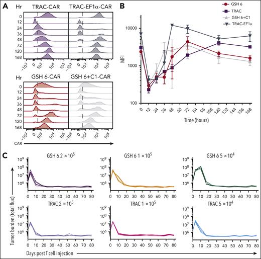 GSH6 supports long-term tumor control at low T-cell doses and upon multiple rechallenges. (A) Representative flow plots depicting CAR expression on CAR+ T cells over a week after stimulation with CD19+ aAPCs in vitro. (B) Quantified median fluorescence intensity (MFI) of CAR expression on CAR+ T cells shown in panel A (2 technical replicates each of 2 independent T-cell donors). Data are shown as mean ± SD. (C) Tumor burden in tumor bearing mice administered with GSH6-CARs without insulator C1 and TRAC-CARs at doses 2 × 105, 1 × 105, and 5 × 104 monitored over a period of 80 days after T-cell injection, n = 5. (D) Tumor burden of mice comparing the in vivo efficacy of GSH6-CAR and TRAC-CAR upon 5 tumor rechallenges 10 days apart starting at day 17 after T-cell injection vs no further rechallenge, followed for 80 days after CAR T-cell administration, n = 5 per group. The NALM6 only group represents treatment naïve, age-matched mice injected with NALM6 cells at the rechallenge timepoints (n = 2 mice each for the first 3 time points; n = 1 for the last 2 time points). (E) Tumor burden over 40 days after rechallenge with 1 × 106 NALM6 cells in mice surviving at day 100 after CAR T-cell administration (from Figure 3C). Some mice had to be euthanized or died of graft-vs-host disease, but none of them had tumor at the time of rechallenge.