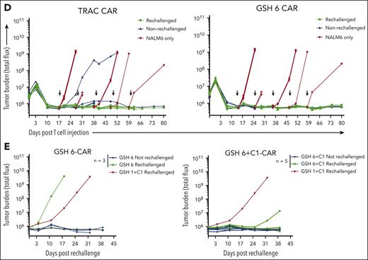 GSH6 supports long-term tumor control at low T-cell doses and upon multiple rechallenges. (A) Representative flow plots depicting CAR expression on CAR+ T cells over a week after stimulation with CD19+ aAPCs in vitro. (B) Quantified median fluorescence intensity (MFI) of CAR expression on CAR+ T cells shown in panel A (2 technical replicates each of 2 independent T-cell donors). Data are shown as mean ± SD. (C) Tumor burden in tumor bearing mice administered with GSH6-CARs without insulator C1 and TRAC-CARs at doses 2 × 105, 1 × 105, and 5 × 104 monitored over a period of 80 days after T-cell injection, n = 5. (D) Tumor burden of mice comparing the in vivo efficacy of GSH6-CAR and TRAC-CAR upon 5 tumor rechallenges 10 days apart starting at day 17 after T-cell injection vs no further rechallenge, followed for 80 days after CAR T-cell administration, n = 5 per group. The NALM6 only group represents treatment naïve, age-matched mice injected with NALM6 cells at the rechallenge timepoints (n = 2 mice each for the first 3 time points; n = 1 for the last 2 time points). (E) Tumor burden over 40 days after rechallenge with 1 × 106 NALM6 cells in mice surviving at day 100 after CAR T-cell administration (from Figure 3C). Some mice had to be euthanized or died of graft-vs-host disease, but none of them had tumor at the time of rechallenge.