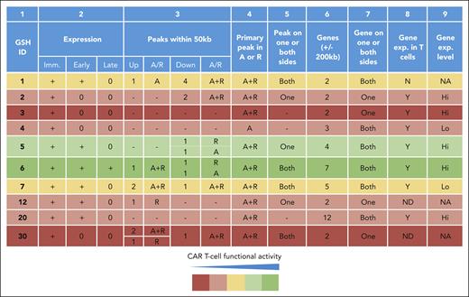 CAR expression, function, and surrounding genomic features at 10 candidate eGSHs. Summary of CAR expression over multiple weekly stimulations, surrounding ATAC-seq peaks, gene presence (including pseudogenes), and expression at all 10 eGSHs. Column 2: Expression in the immediate (Imm.) or day 0, early or day 7, and late or day 14 time points of antigenic stimulation as per data in Figure 2E and supplemental Figure 10C; Column 3: Number of ATAC-seq peaks within 50 kb in activated (A), resting (R), or activated and resting (A+R) state excluding targeted peak upstream (5′) and downstream (3′) of eGSH; Column 4: Presence of targeted ATAC-seq peaks in A, R, or A+R state; Column 5: Presence of surrounding ATAC-seq peaks on one side (upstream/downstream) or both sides of the eGSH within 50 kb; Column 6: Number of genes (coding/noncoding/pseudogene) within 200 kb of eGSH; Column 7: Presence of surrounding genes on one side (upstream/downstream) or both sides of the eGSH; Column 8: Gene expression in T cells (either A or R); Column 9: Average gene expression level of surrounding genes, <100 = Lo and >100 = Hi, according to supplemental Table 2. The GSHs are highlighted with colors based on their CAR T-cell functional activity over time, considering expression and proliferation over 14 days as per the key. A, activated; A+R, activated and resting; exp, expression; Hi, high; Lo, low; Imm., immediate; N, no; ND, not detected; R, resting; Y, yes.