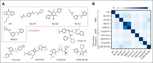 Chemical structures of parmodulins and comparison with those of other intracellularly bound GPCR ligands. (A) Chemical structures of JF5 (parmodulin 1), ML159 (parmodulin 3), ML160 (parmodulin 4), ML161 (parmodulin 2), and NRD-21. Other intracellular GPCR ligands are shown below the parmodulins. (B) Largest common substructure TC between parmodulins and other intracellular GPCR ligands. The receptor or receptor family targeted by the substances is indicated on the left-hand side of the matrix.