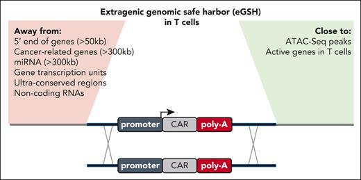 Overview of the expanded list of criteria to identify a good eGSH locus in T cells. Previously proposed rules are highlighted on the left (Away from), and newly added criteria by Odak et al are listed on the right (Close to).