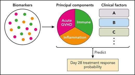 The analytic method used by Socié et al. The biomarkers were grouped into 3 major categories of principal components and then analyzed with clinical factors. GVHD, graft-versus-host disease. Professional illustration by Patrick Lane, ScEYEnce Studios.