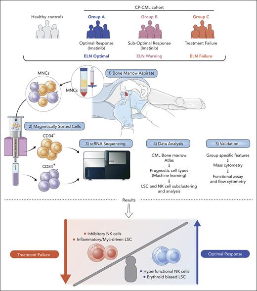 Study design and key findings from the article by Krishnan et al that begins on page 2738. CP, chronic phase; ELN, European LeukemiaNet; LSC, leukemic stem and progenitor cell; MNC, mononuclear cells; NK, natural killer; scRNA, single cell RNA.