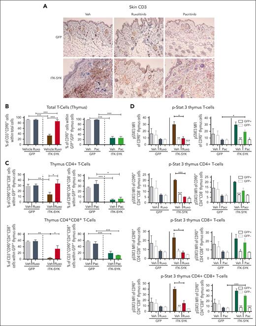 Ruxolitinib but not pacritinib blocks T-cell infiltration into the skin, inhibits evasion of CD4+ T cells out of the thymus, and inhibits Stat3/5 phosphorylation. GFP or ITK-SYK mice were treated with vehicle, ruxolitinib, or pacritinib for 32 days, euthanized, and analyzed as described in Figure 4. (A) Immunohistochemical HRP-DAB staining with anti-CD3 antibody (T cells) of paraffin-embedded skin tissue of GFP and ITK-SYK mice after treatment with vehicle (Veh), ruxolitinib, or pacritinib for 32 days. (B) Percentages of T cells, granulocytes, and monocytes within total thymus cells of GFP and ITK-SYK mice after treatment with vehicle or ruxolitinib for 32 days. (C) Percentage of CD90+CD4+ (CD4+) and CD90+CD4+CD8+ (CD4+CD8+) cells within GFP+ thymus cells of GFP and ITK-SYK mice after treatment with vehicle, ruxolitinib, or pacritinib for 32 days. (D) Mean fluorescence intensity for intracellular FACS staining of phosphorylated STAT3 in total CD3+CD90+ thymic T cells, CD4+ T cells, CD8+ T cells, and CD4+CD8+ T cells from treated control/GFP or ITK-SYK mice within GFP+ and GFP– T cells. Bars represent mean values with error bars showing the SEM. Statistical significance was calculated using the Student unpaired t test. ∗P < .05, ∗∗P < .01, ∗∗∗P < .001.