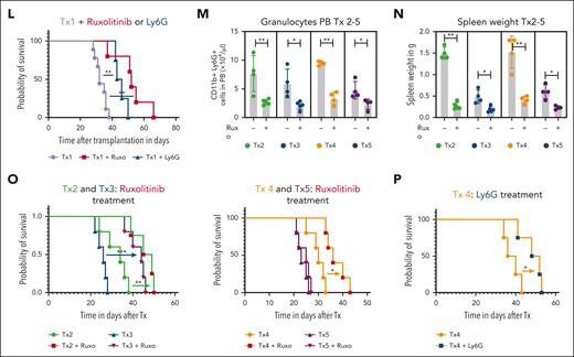 Ruxolitinib inhibits PTCL expansion and systemic inflammation in patient-derived PTCL xenograft mouse models. (A) Transplantation scheme for engraftment and in vivo expansion of malignant T cells from a patient with AITL. Firstly, 1 NOG mouse received transplantation IV with 6 × 106 PB cells of a patient with AITL after Ficoll purification. Then, FACS analysis and spectratyping revealed engraftment of the malignant clone, T cells (> 95%) were extracted from the spleen, and 36.1 × 106 hCD45 cells were transplanted IV into 2 secondary recipients. Upon engraftment, isolation and retransplantation was repeated, and 8 recipients received transplantation IV with 27 × 106 T cells. On day 5 after transplantation, treatment with vehicle or ruxolitinib twice daily was started and carried out for 16 days until mice were sacrificed for organ analysis. (B) FACS histogram plot shows huCD45+ cells in the first mouse that had received transplantation. CD45+ cells are nearly all T cells, positive for CD4 or double positive for CD4/CD8. The malignant population is characterized as CD4+ CD7 low (28% of CD4+ cells). (C) Percentage of weight loss of AITL xenografted mice after treatment with vehicle or ruxolitinib compared with starting weight measured on day 0 after transplantation. Statistical significance was calculated for the values on day 19 and day 21 (n = 4 per group). (D) Image of the spleens from AITL engrafted mice treated with vehicle or ruxolitinib for 21 days. (E-I) Comparison of spleen weights and femur cell counts, WBC counts, granulocyte counts, and monocyte counts of vehicle- or ruxolitinib-treated AITL mice. Dashed lines indicate baseline levels (mean of 3 WT NOG mice, ie, without transplantation). (J) Percentage of normal human T cells (hCD45+hCD4+, hCD45+hCD4+hCD7+, hCD45+hCD8+, and hCD45+hCD4+hCD8+) and the malignant hCD45+hCD4+hCD7− cells within total spleen cells after treatment with vehicle vs ruxolitinib and measured by FACS (n = 4 per group). (K) Total amount (× 106) of malignant T cells hCD45+hCD4+hCD7− in the spleen after the treatment period of 21 days. (L) Kaplan-Meier survival curve for Tx1 xenografted mice treated with vehicle controls (n = 5 for vehicle ruxolitinib and n = 5 for control antibody in 1 curve), ruxolitinib (n = 5), or Ly6G antibody (blue; n = 5). (M-O) Xenografts 2 to 5 (Tx 2-5) from 4 more PTCLs (1 AITL, 2 follicular TCL, and 1 PTCL-NOS). (M,N) Granulocyte counts and spleen weights in mice with xenografts (Tx 2-5) with and without ruxolitinib treatment (all P < .05). (O,P) Kaplan-Meier survival curve of xenografted mice (Tx 2-5) with or without ruxolitinib treatment (O) or Ly6G treatment (P). Bars represent mean values with error bars showing the SEM. Statistical significance was calculated using the Student unpaired t test. ∗P < .05, ∗∗P < .01, ∗∗∗P < .001.
