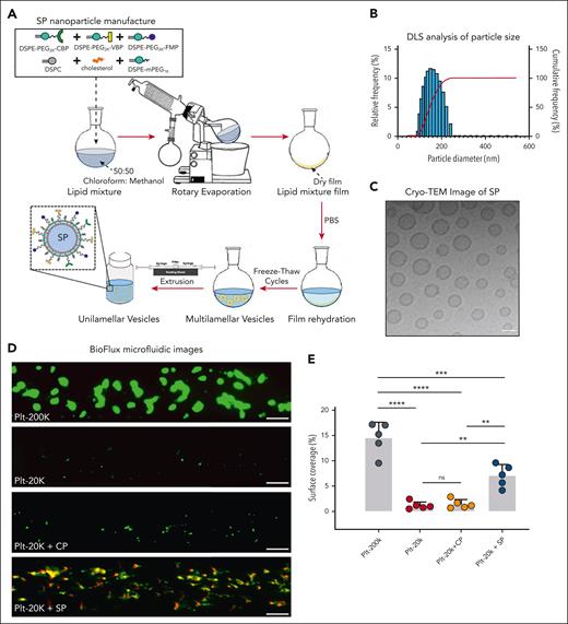 Physical and functional characterization of the SP nanoparticles. (A) Schematic of the manufacturing process for SP nanoparticle with lipids and lipid-peptide conjugates using the thin film rehydration followed by extrusion methodology. (B) Dynamic Light Scattering characterization and (C) Cryo-transmission electron microscopy (Cryo-TEM) imaging of SP nanoparticles indicates a diameter of approximately 150 to 200 nm. (D-E) Representative fluorescence microscopy images and quantitative analysis of imaging data from BioFlux microfluidics studies with platelet suspensions indicate that depletion of platelets from 200 000 per μL (Plt-200K) to 20 000 per μL (Plt-20K) results in drastic reduction of platelet coverage of collagen-coated microfluidic channel surface. Treatment of Plt-20K with CP does not rescue this whereas the treatment of Plt-20K with SP nanoparticles significantly rescues platelet recruitment and coverage on the collagen-coated channel surface (colocalization of Rhodamine B-labeled red fluorescent SP with calcein-stained green fluorescent platelets appear yellow). The particle/platelet ratio was 1000:1. Means ± SD are represented. Statistical analysis was performed using a one-way ANOVA with Tukey's correction. ∗∗P ≤ .01; ∗∗∗P ≤ .001; ∗∗∗∗P ≤ .0001. ns, not significant.
