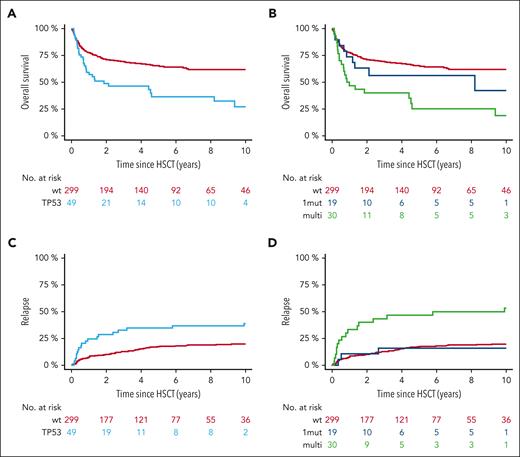 TP53MT state is associated with distinct outcomes after HSCT. (A,C) Overall survival (A) and relapse incidence (C) for the comparison of patients with wt TP53MT and all patients. (B,D) Overall survival (B) and relapse incidence (D) for the comparison of patients with wt TP53MT, TP53MT single-hit (1mut), and TP53MT multihit (multi).