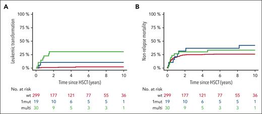 Leukemic transformation and nonrelapse mortality according to TP53 status. Cumulative incidence of leukemic transformation (A) and nonrelapse mortality (B) based on single-hit or multihit constellation vs TP53WT.