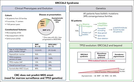 Characteristics of ERCC6L2 disease. Clinical and genetic features of ERCC6L2 disease are shown in the respective boxes. ALL, acute lymphatic leukemia; CBC, complete blood count; HSCT, hematopoietic stem cell transplantation; LoF, loss of function; VAF, variant allelic frequency.