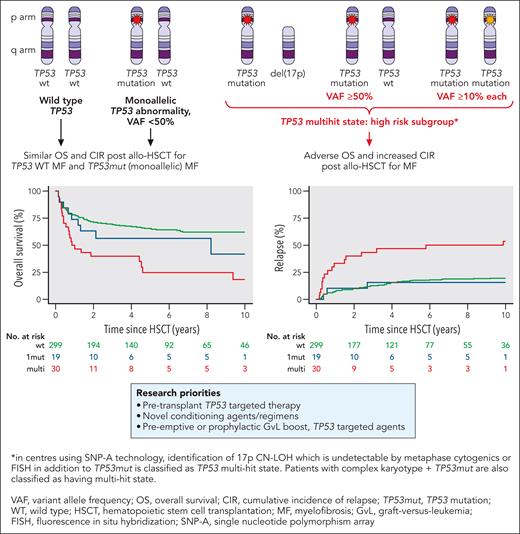 Defining TP53 status at transplant and its impact on transplant outcomes. Professional illustration by Patrick Lane, ScEYEnce Studios.