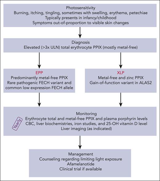 Evaluation and treatment algorithm for patients with protoporphyria. CBC, complete blood count; HAV, hepatitis A virus; HBV, hepatitis B virus; PPIX, protoporphyrin IX; ULN, upper limit of normal.