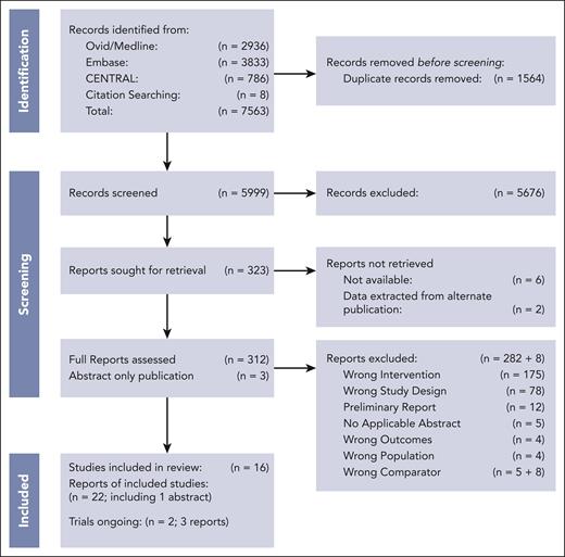 PRISMA flow diagram. Adapted from PRISMA guidelines.29