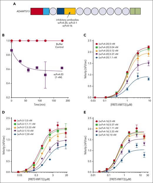 Kinetic inhibition of plasma ADAMTS13 by various antispacer antibodies (scFv20, scFv3-1, and scFv4-16). (A) Cartoon representation of the structure of ADAMTS13, as described in Figure 1. Spacer domain, the binding site of scFv4-20, scFv3-1, and scFv4-16 to ADAMTS13, is indicated by an arrow. Assays were performed at 25°C and pH 6.0. (B) Relative inhibitory activity variation of scFv4-20 incubated with NHP for different lengths of time (0, 30, 60, 90, 120, and 180 minutes). Activity was normalized to velocity (ΔFU/s) in the absence of scFv4-20 (buffer control) to derive relative velocity. (C-E) The titrations of ADAMTS13 in NHP with FRETS-VWF73 in the presence of increasing concentrations of scFv4-20, scFv3-1, and scFv4-16, respectively (n ≥ 3 for all titrations). The data in the plots are shown as mean ± SEM.