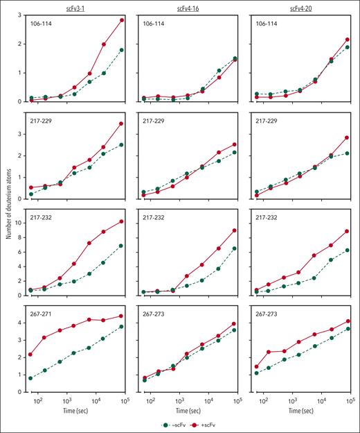 HX-MS reveals allosteric effects on the metalloprotease domain by antispacer antibodies. Deuterium incorporation of MDTCS fragments is measured over the time course of 21 hours with or without antibody bound. Incorporation in the absence of scFvs is depicted in green circles and dashed lines; incorporation of deuterium in the presence of scFvs is depicted in red circles and solid lines. The y-axis indicates the number of deuterium atoms incorporated over time on the x-axis.