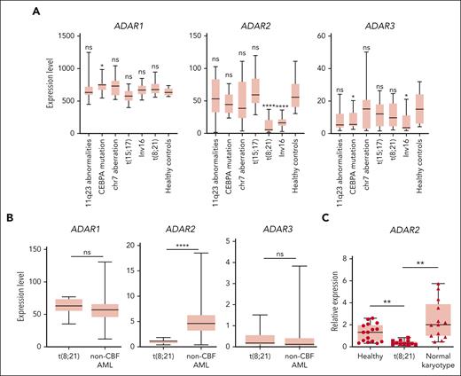ADAR2 is selectively downregulated in CBF AMLs. (A) Box plots showing the expression levels of ADAR1, ADAR2, and ADAR3 in healthy donors (n = 8) and patients with different subtypes of AML (n = 108) (∗∗∗∗P < .0001, 2-tailed Student t test) detected by microarray. The data were obtained from Gene Expression Omnibus database (GSE1159).31 The expression level of a particular gene is reflected by the intensity of hybridization of labeled mRNA to gene-specific probe sets (10-20 oligonucleotides per gene).31 The line in the middle of the box is plotted at the median. The whiskers indicate minimum to maximum. (B) Box plots showing the expression of ADAR1, ADAR2, and ADAR3 in patients with t(8;21) AML (n = 7) and control patients with non-CBF (n = 164) AML from the TCGA AML RNA-seq data sets. (C) Box plot showing the relative expression of ADAR2 in leukemic blasts isolated from patients with AML with t(8;21) (n = 11) or normal karyotype (n = 13) and CD34+ cells isolated from BM samples of healthy individuals (n = 16). The relative expression was calculated as described in supplemental Materials and Methods. Data are presented as technical triplicates from a representative experiment. ∗∗P < .01; ∗∗∗∗P < .0001 using two-tailed Student t test. chr, chromosome; ns, not significant.