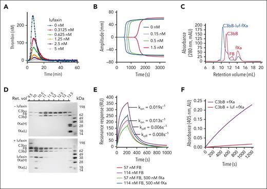 Binding and inhibition of fXa by lufaxin. (A) Concentration dependence of lufaxin inhibition of thrombin generation in whole plasma using the thrombinoscope. Legend shows lufaxin concentrations. (B) Inhibition of clot formation by lufaxin as measured via thromboelastography. Legend shows lufaxin concentrations. (C) Size exclusion chromatography (A280) of C3bB-fXa mixtures in the presence (blue trace) and absence (red trace) of lufaxin (luf). The elution buffer was 10 mM 4-(2-hydroxyethyl)-1-piperazineethanesulfonic, pH 7.4, and 0.15 M NaCl (HBS) containing 5 mM MgCl2; the identified peaks are labeled. (D) Sodium dodecyl sulfate-polyacrylamide gel electrophoresis of fractions from the chromatograms in panel C with silver staining. (Top) A sample separated in the absence of lufaxin and (bottom) a sample separated in the presence of lufaxin. The retention volume scale above the gels corresponds to the x-axis of the chromatograms. The bands are labeled on the left side of the gel, and the standard sizes are shown on the right side. (E) SPR analysis of complex formation on a C3b surface in the presence and absence of fXa. Injections of 57 or 114 nM FB along with 500 nM lufaxin were made in the presence or absence of 500 nM fXa. The rate constants kon and koff refer to the observed first-order rate constants for association and dissociation of the complex at 114 nM FB, 500 nM lufaxin in the absence of fXa (purple trace) and 114 nM FB, and 500 nM lufaxin in the presence of fXa (blue trace). The buffer for all experiments was HBS containing 5 mM Mg2+. (F) Progress curves for the hydrolysis of S2222 (250 μM) using 4.3 nM fXa in the presence of 176 nM each of C3b and FB either with (red trace) or without (purple trace) 30 nM lufaxin. The experiment was performed in HBS containing 5 mM MgCl2 at 30°C.