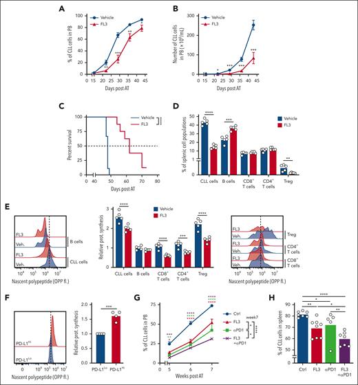 FL3 alone, or in combination with immunotherapy, controls CLL development in vivo. (A-B) Percentage (A) and number (B) of CD19+CD5+ CLL cells in the peripheral blood (PB) of C57BL/6 mice after adoptive transfer of splenocytes from a sick Eμ-TCL1 mouse, and treated with vehicle (n = 9) or FL3 (n = 8). (C) Survival of mice from panels A-B. (D) Percentage of CLL cells (CD19+CD5+), B cells (CD19+CD5−), CD8+ T cells (CD3+CD8+), CD4+ T cells (CD3+CD4+), and Tregs (CD4+FOXP3+) in the spleen of mice treated with vehicle or FL3, 17 days after adoptive transfer of splenocytes from a sick Eμ-TCL1 mouse (n = 5). (E) Determination of the translation rate in cells from panel D. (F) Determination of the translation rate in PD-L1high or PD-L1low CD19+CD5+ CLL cells from the spleen of C57BL/6 mice after TCL1 adoptive transfer (n = 4). (G-H) Percentage of CLL cells in the blood at the indicated time points (G) and the spleen at euthanasia (H) of C57BL/6 mice after adoptive transfer of splenocytes from a sick Eμ-TCL1 mouse, and treated with vehicle, FL3, anti-PD1 antibody, or the combination FL3/anti-PD1. ∗P < .05, ∗∗P < .01, ∗∗∗P < .001, ∗∗∗∗P < .0001.