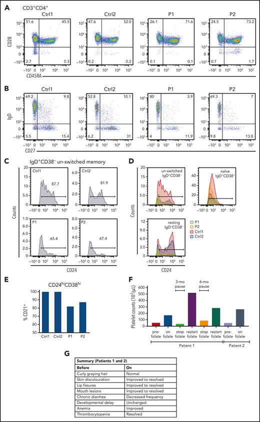 Lymphocyte subpopulation analysis and improvement in SLC19A1-deficient patients following folic supplementation. (A) Analysis of T cell populations revealed mature CD4+ cells in P1 and P2, with an unusually high number of terminally differentiated CD4 T cells present in P2. (B) Analysis of B cell differentiation confirmed the presence of class-switched IgD-CD27+ cells in both patients (P1, P2) as well as mature activated IgD+CD27+ B cells, albeit at lower levels in P1. Results from 2 controls (Ctrl1, Ctrl2), both healthy, are shown for comparison. (C-D) P1 and P2 exhibited reduced subpopulations of CD24hi unswitched memory cells compared with controls. (E) Normal levels of CD24hi transitional B lymphocytes were identified in both patients, although 10% to 20% of these cells failed to express CD21. (F) Platelet counts before and during (on) folic acid supplementation and during periods when treatment was paused. (G) Summary of improvements observed in P1 and P2 before and during (on) supplementation.