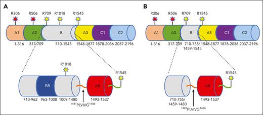 Schematic representation of fV and fV short. (A) A1-A2-B-A3-C1-C2 domain organization of fV (2196 residues total) and details of the B domain containing the BR (963KPGKQSGHPKFPRVRHKSLQVRQDGGKSRLKKSQFLIKTRKKKKEK1008) and AR (1493DYIEIIPKEEVQSSEDDYAEIDYVPYDDPYKTDVRTNINSSRDPD1537) that interact to keep fV in its inactive state.1,5-9 The hydrophobic patch 1481PLVIVG1486 is highlighted preceding the AR. The sites of thrombin activation (R709, R1018, R1545) and APC inactivation (R306, R506) are indicated. (B) A1-A2-B-A3-C1-C2 domain organization of the splice variant fV short carrying a deletion of 703 residues, from 756 through 1458, in the B domain (1493 residues total). The deletion removes the site of thrombin activation at R1018 and the entire BR, which unmasks the hydrophobic patch 1481PLVIVG1486 and the AR region to promote TFPIα binding. The cryo-EM structure of fV short (Figure 2; supplemental Figure 3) reveals all residues of the A1-A2-A3-C1-C2 assembly. Reproduced with modifications,10 copyright Elsevier (2022).