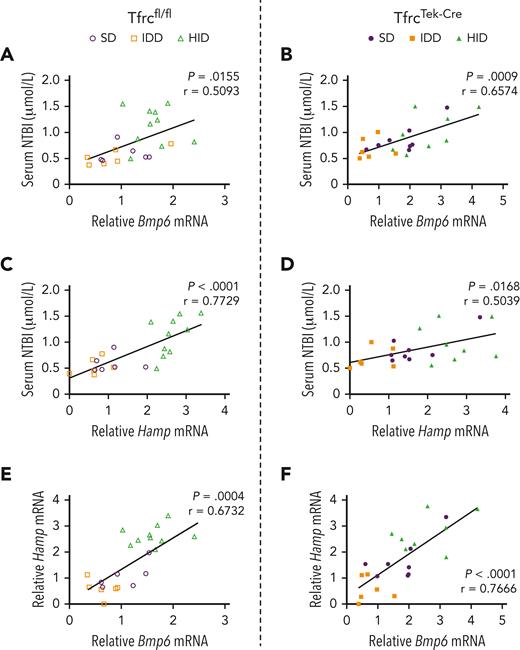 Expression of Bmp6 and Hamp mRNAs positively correlates with serum NTBI in both Tfrcfl/fland TfrcTek-Cremice. Pearson correlation analysis of NTBI vs Bmp6 mRNA (A-B); NTBI vs Hamp mRNA (C-D); and Hamp mRNA vs Bmp6 mRNA (E-F). Data are from the experiments shown in Figures 2 and 3 with Tfrcfl/fl and TfrcTek-Cre mice kept on a SD, exposed to a 2% carbonyl HID for 18 hours, or placed on an IDD for 1 week. P values and Pearson r coefficients are provided for each graph.