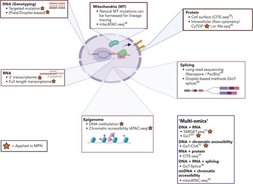 Single-cell technologies. Layers of information in the cell can be interrogated by single-cell technologies including DNA, RNA or transcriptome, mitochondrial,38 protein (surface39 or intracellular40), epigenetic, and splicing. Technologies combining multiple modalities, “multiomic,” are highlighted and those modalities applied to study of MPNs are highlighted by an orange star.